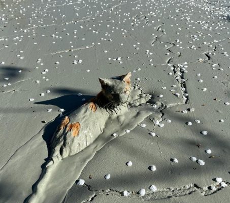 306028054_5458466957563444_2823576949009286507_n